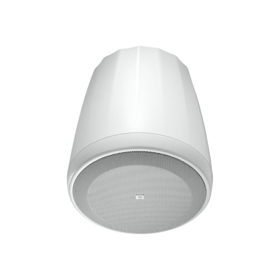 Control 65 P/T Compact Full-Rang ePendant Speaker