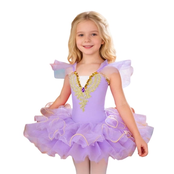 JCCXIN Ballet Dress For Girls Playful Dance With Soft Net Overskirt For Performances And Holiday Party Casual Toddler Girl Clothes 4-5 Years