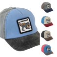 thumbnail image 1 of JCCXIN Toddler Kids Baseball Cap Boys Trucker Hat Dinosaur Embroidery Adjustable Lightweight School Days Caps Spring Fall Daily Outdoor Cute Vacation Sports Hats,Grey,2-8 Years, 1 of 4