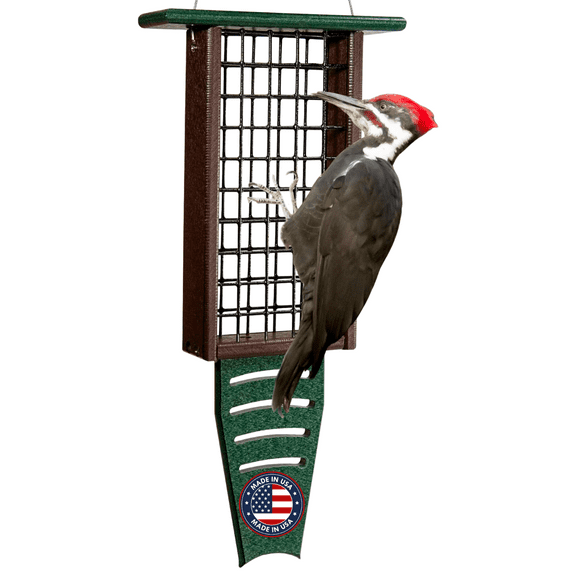 JCs Wildlife Green/Brown Recycled Poly Lumber Double Suet Tail Prop Feeder - Holds 2 Suet Cakes