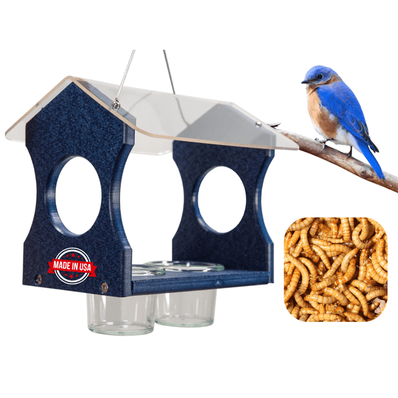 JCs Wildlife Hanging Bluebird Mealworm Feeder