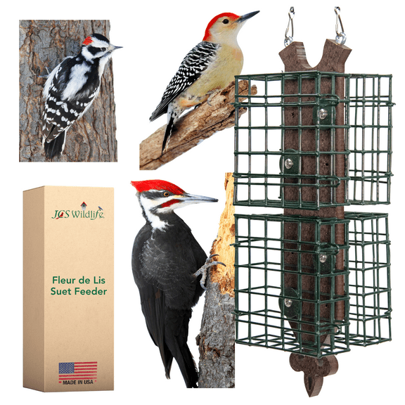JCs Wildlife Quad Fleur de Lis Suet Feeder