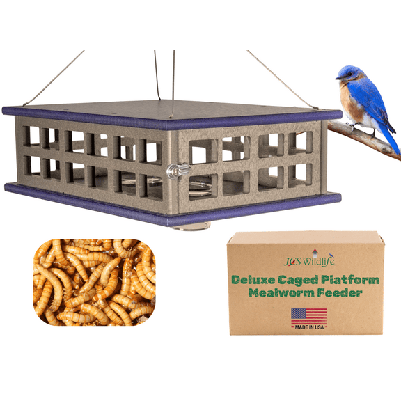 JCs Wildlife Recycled Poly Lumber Deluxe Double Caged Platform Bluebird Feeder (Blue/Blue Gray)