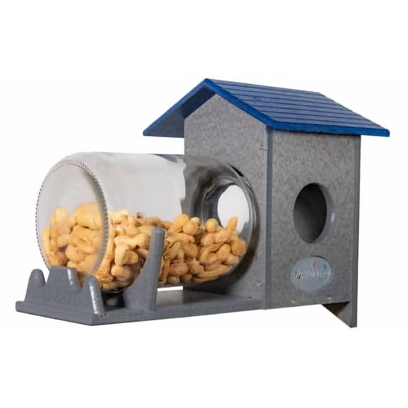 JCs Wildlife Squirrel Mason Jar Feeder for Peanuts and Loose Corn ...