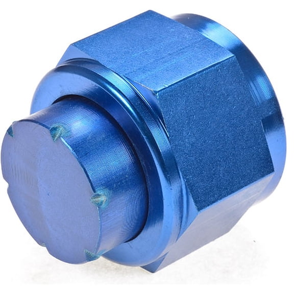 JEGS Flare Cap -16AN