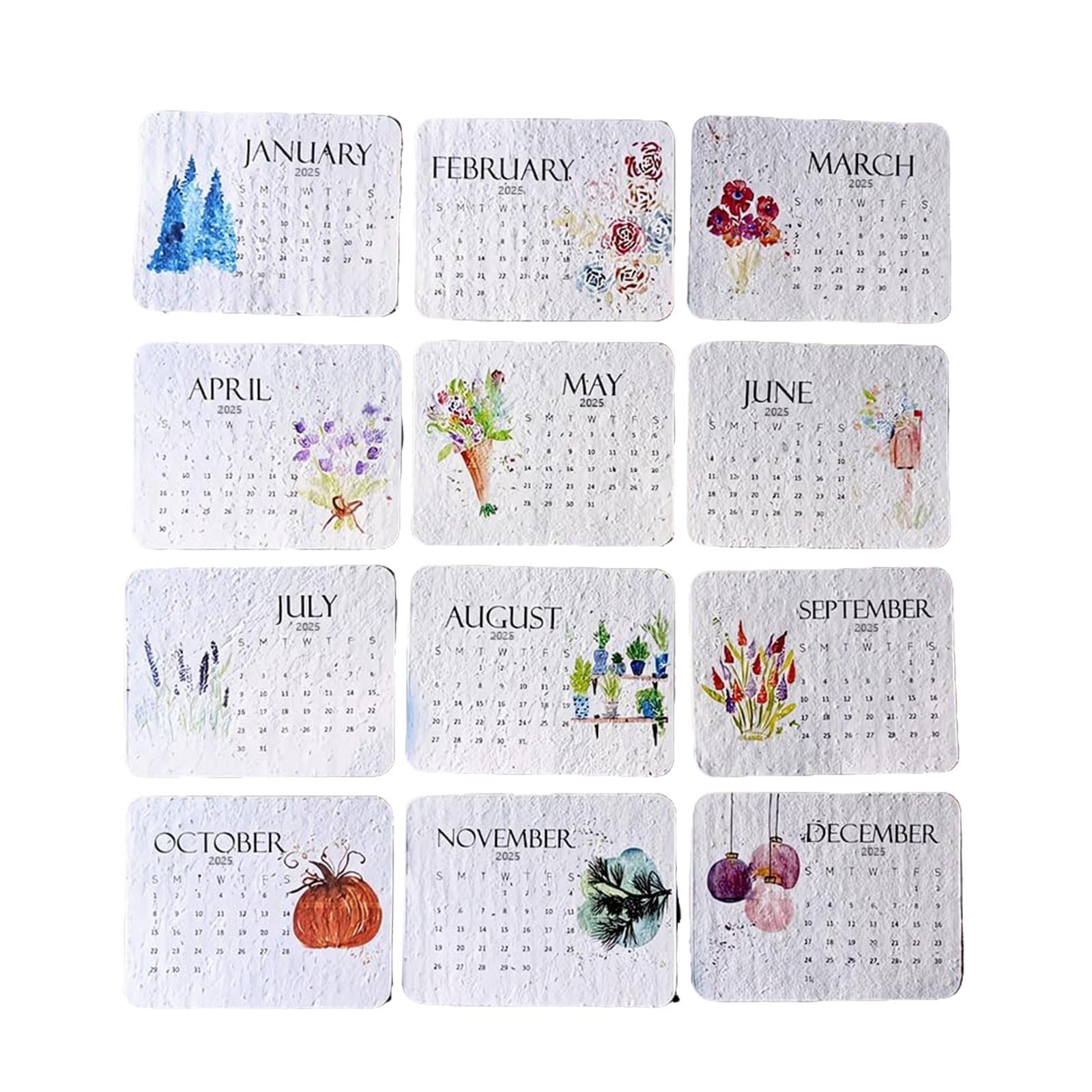 JELSUBI Plantable Seed Calendar 2025, From January 2025 to December