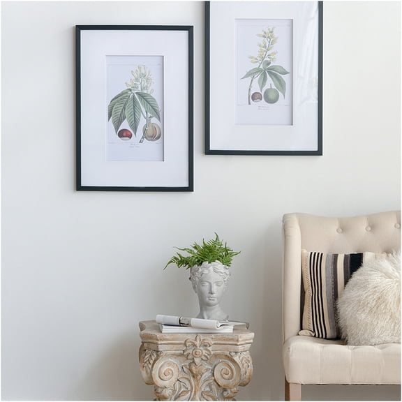 JERFIT 2-Panel Multicolor Botanical Wall Art Set with Glass Front, 19.7x27.6 Inch Framed Prints for Living Room, Bedroom, Dining Room Decor