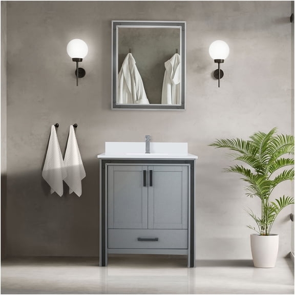 JERFIT 30 inch Dark Grey Bathroom Vanity Cabinet with Soft Close Door & Drawer, Wood Frame, Fully Assembled for Easy Installation
