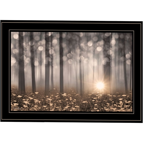 JERFIT Framed Wall Art Print "Enchanted Morning" by Lori Deiter, Multicolor Modern Canvas Painting for Living Room, Bedroom & Office Decor, Ready to Hang