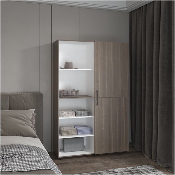 JERFIT Modern Armoire with Hanging Rod, Freestanding Wardrobe Closet with Shelves for Bedroom, Multicolor Finish