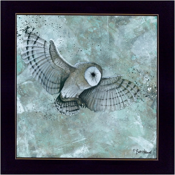 JERFIT Modern Owl Framed Print Wall Art, Britt Hallowell "Simplicity Owl" Multicolor Ready to Hang Picture for Living Room, Bedroom, Office Decor
