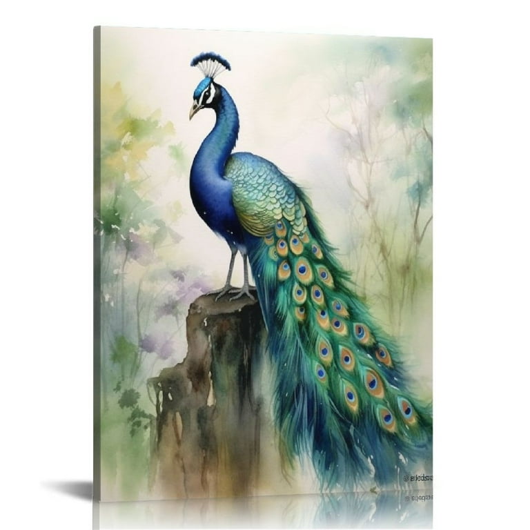 Peacock Tail Feathers Hues For sale as Framed Prints, Photos, Wall Art and  Photo Gifts