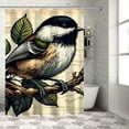 thumbnail image 1 of JEUXUS Bird Art Colorful Birds on Reed Branch Vintage Rustic Hummingbird Textured Chickadees Pictures Shower Curtain for Bathroom Decoration White, 1 of 6