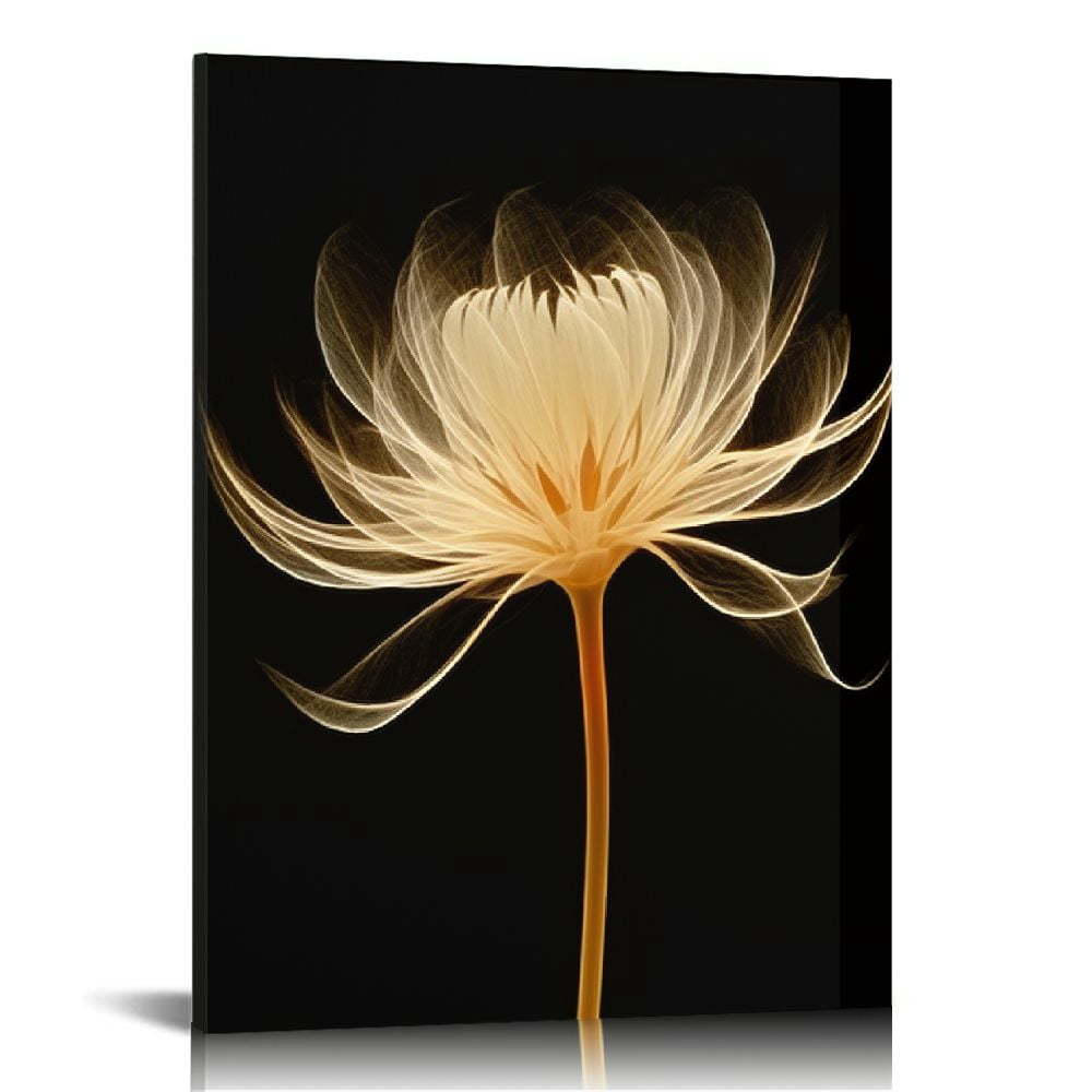 JEUXUS Black White and Gold Flower Wall Art Canvas Prints Decor Framed