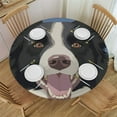 thumbnail image 1 of JEUXUS  Border Collie Dog Round Tablecloths Table Covers with Elastic Polyester Fitted Tablecloth Circular Table Cover for Indoor Outdoor Party Picnic Fit Table, 1 of 7