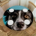 thumbnail image 1 of RUIYC Border Collie Elastic Round Table Cover A Sunny Day at His Owner A Blue Wall Fitted Tablecloth Print Table Pad Home Decor Fits Tables Diameter, 1 of 7