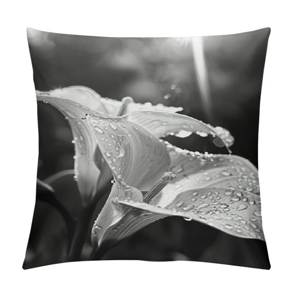 JEUXUS Calla Lily Black and White Flower Pictures Plush Pillowcase Square White