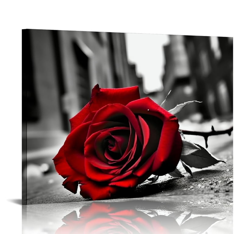 Red Roses Black And White Background Red Rose Flowers With Black