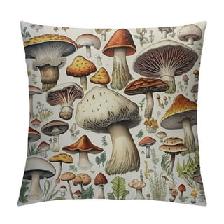 Bclose Cottagecore Room Decor Aesthetic - Fairycore Room Decor - Fall Room Decor - Mushroom Decor Throw Pillow Cover (18x18)