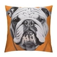 thumbnail image 1 of JEUXUS  Dog Throw Pillow Cushion Cover, Hand Drawn Portrait of English Bulldog Puppy Retro Animal Funny Cool Pet, Decorative Square Accent Pillow Case,  Orange Grey, 1 of 5