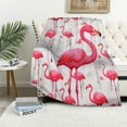 thumbnail image 1 of JEUXUS Flamingo Blanket Furry Blankets Flamingo Gifts for Women Girl, Super Soft Warm Flamingo Plush Fluffy Blankets for Livingroom Sofa Couch Bed Traveling Camping, 1 of 6