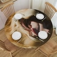 thumbnail image 1 of JEUXUS  Golden Retriever Dog Tablecloth Waterproof Table Cloth Round Tablecloth Washable Table Cover Resistant Easy Care Fabric Cover for Kitchen Dining Party Holiday Coffee, 1 of 7