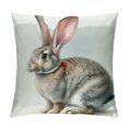 thumbnail image 1 of JEUXUS High-Quality Short Plush Pillowcase Blue Gray Cute Rabbit Poster Picture White, 1 of 5