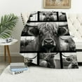 thumbnail image 1 of JEUXUS  Highland Cow Blanket Long Horn Highland Cow Throw Blankets for Adults Kids, Black and White Cattle Animal Plush Blanket, Funny Highland Cow Gifts, Cozy Fuzzy Flannel Blanket, 1 of 6