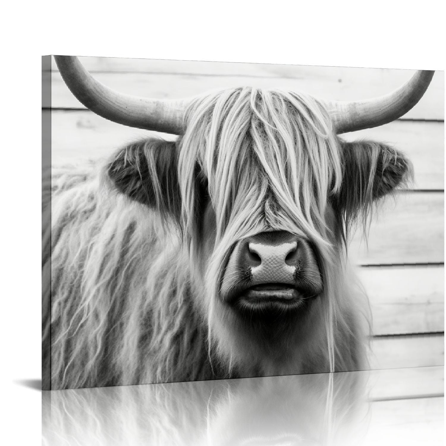 Highland Cow Black and White Canvas Wall Art 16x20
