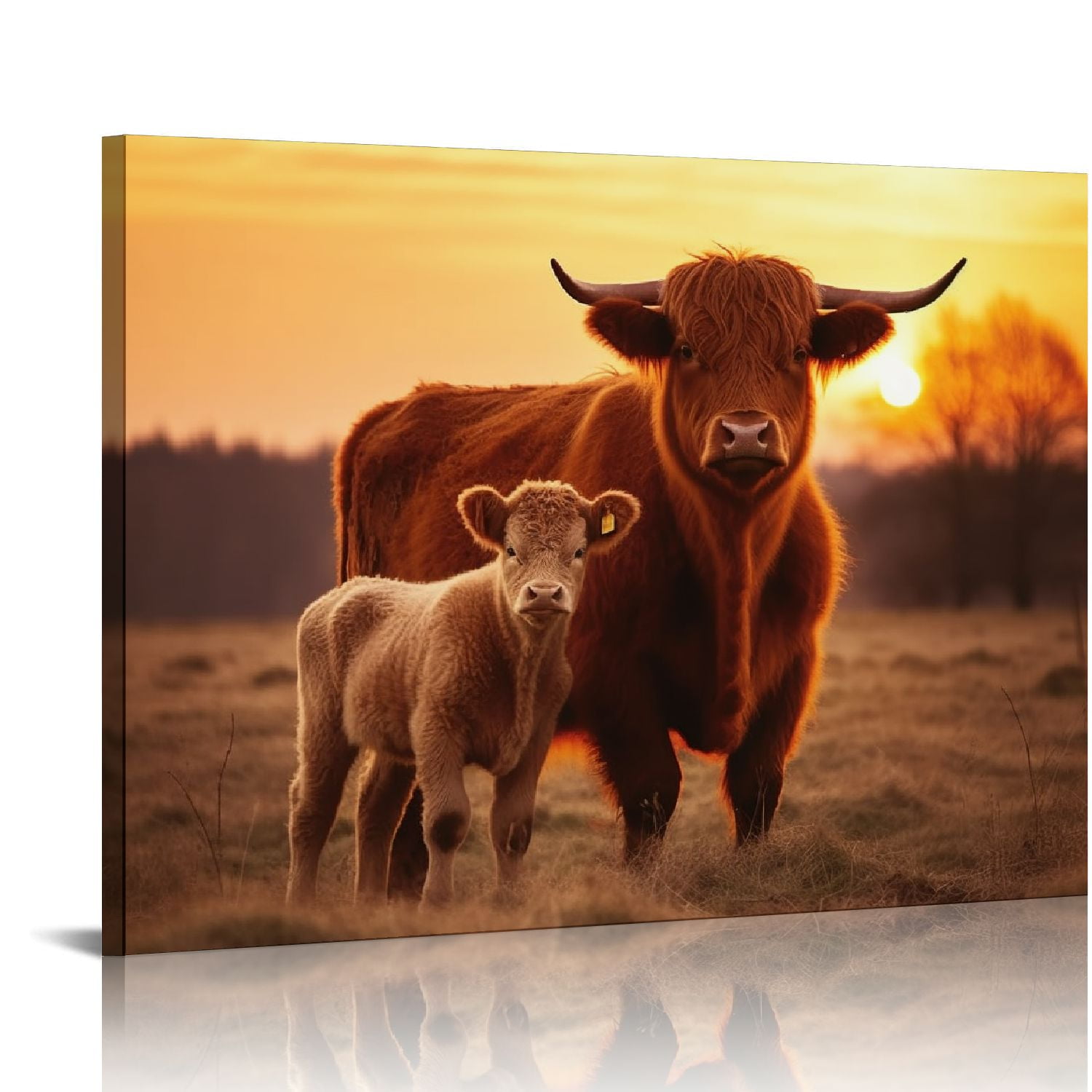 Highland Cow 12x16 Inch Framed Canvas Print