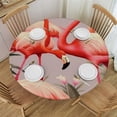 thumbnail image 1 of JEUXUS  Pink Flamingos Round Table Cloth, Elastic Edged Fitted Table Cover Decor Tablecloths for Dinner, Picnic, Party, 1 of 7