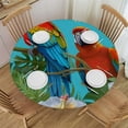 thumbnail image 1 of JEUXUS Round Table Cloth Cover Trpical Paiadise Parrot Elastic Fitted Tablecloth Flower Plant Colorful Waterproof Wipeable Patio Table Cloths for Round Table, 1 of 7