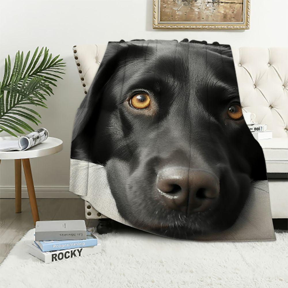 JEUXUS Soft Cozy Throw Blanket Black Lab Labrador Fuzzy Couch/Bed