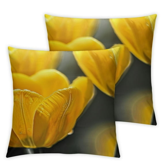 JEUXUS Soft and Durable 2-Piece Short Plush Pillowcase Set - Blooming Yellow Tulips Flowers in the Garden During Spring Season White