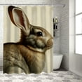 thumbnail image 1 of JEUXUS Spring Easter Bunny Prints for Bathroom Shower Curtain Multiple Sizes White, 1 of 6