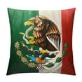 thumbnail image 1 of RUIYC Throw Pillow Covers  Mexican Flag  Throw Pillow Cover Pillowcases for Home Outdoor Living Room Sofa Office Hotel Cafes Decor, 1 of 5