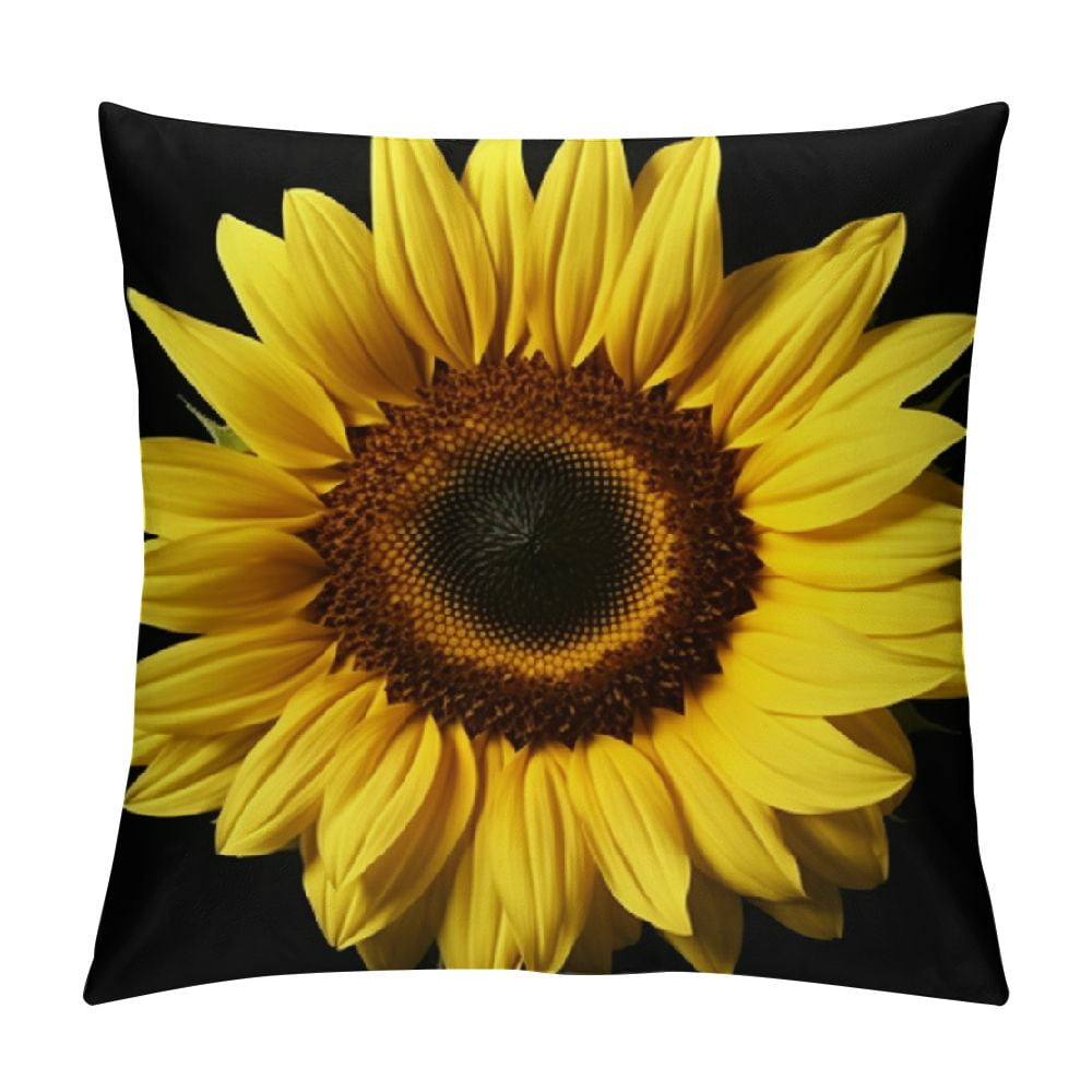 RUIYC Throw Pillow Covers Sunflower Yellow Flowers Decor Pillowcases Square Hidden Zipper Home
