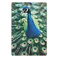 thumbnail image 1 of JEUXUS Wall Hanging 8*12in Peacock Feathers 8x12in, 1 of 7
