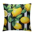 thumbnail image 1 of JEUXUS  Yellow Lemons Black and White Stripes Double Sided Pillow Cases Summer Fresh Fruit Pattern Plush Pillowcase Square Cushion Pillow Covers for Sofa Bed Home Decor, 1 of 5
