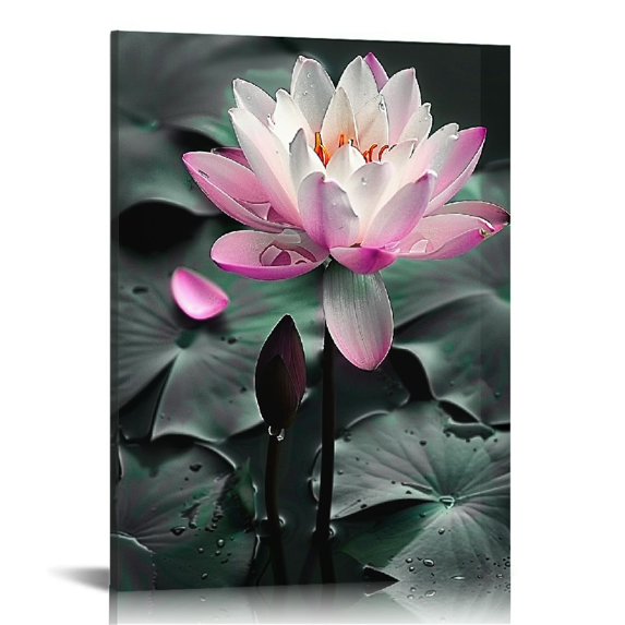 JEUXUS Zen Canvas Wall Art Pink Lotus Flower Paintings Black White and ...