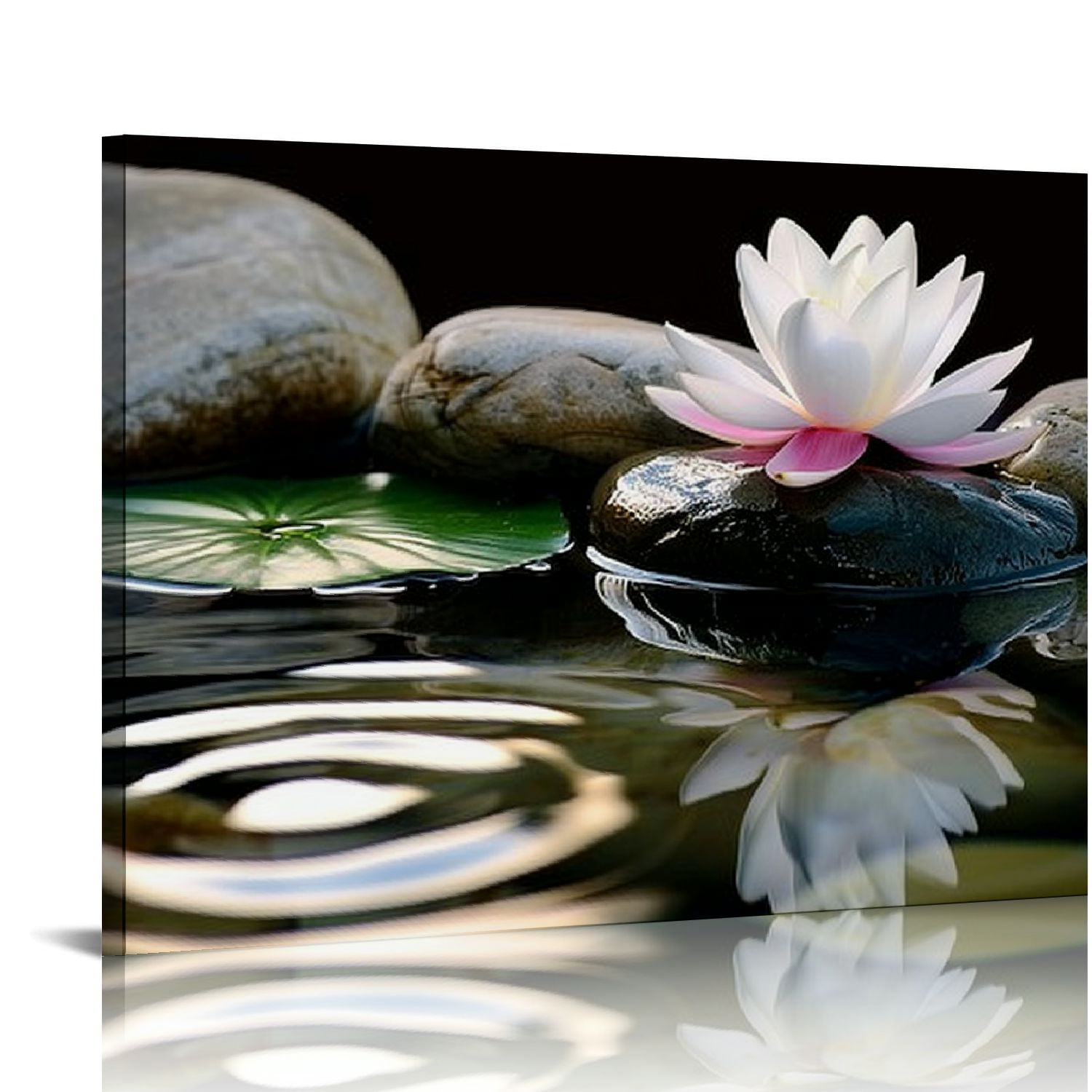 JEUXUS Zen Canvas Wall Art White Lotus Bloom in Water Picture Flowers ...