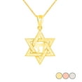 thumbnail image 1 of JEWISH STAR OF DAVID WITH CHAI PENDANT NECKLACE IN GOLD (YELLOW/ ROSE/WHITE) :  14K  Yellow  Pendant with 18" chain, 1 of 1