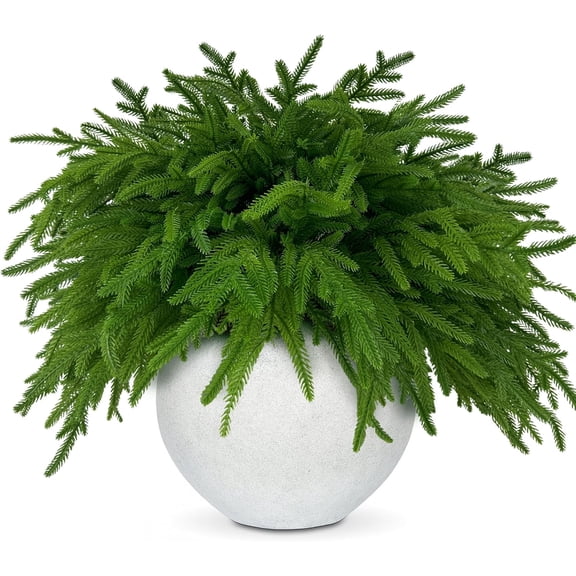 JEWLALO 24 Pcs Norfolk Pine Stems, 17" Artificial Norfolk Pine Branches Real Touch Faux Stems Christmas Norfolk Greenery Pine Picks for DIY Indoor Outdoor Home Vase Fillers Decors