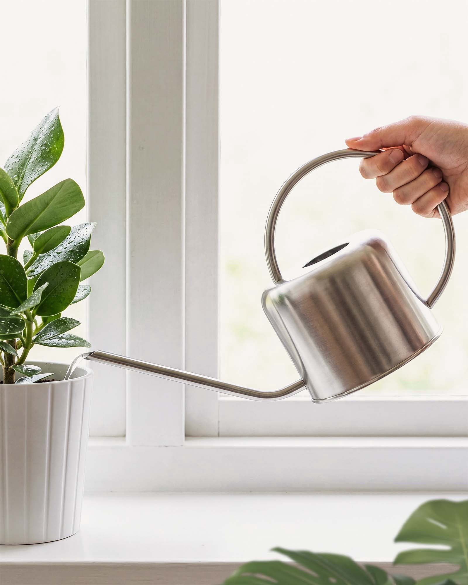 JF HENDE 1L Stainless Steel Watering Can - Modern Silver Metal Water Pot with Long Spout for Indoor Plants, Succulents, and Small Gardens