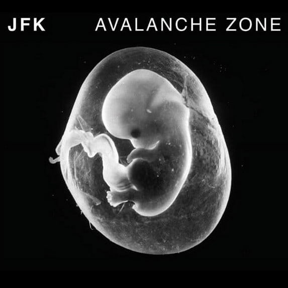 JFK - Avalanche Zone - Music & Performance - CD