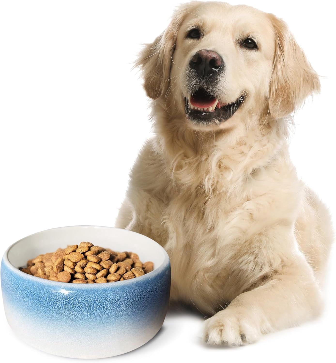 JFTER Pet Bowl – High-Fired Porcelain Stoneware, Food-Grade Safe, Dishwasher Safe, Non-Slip Dog Bowl for Large Breeds in Best Friend Blue