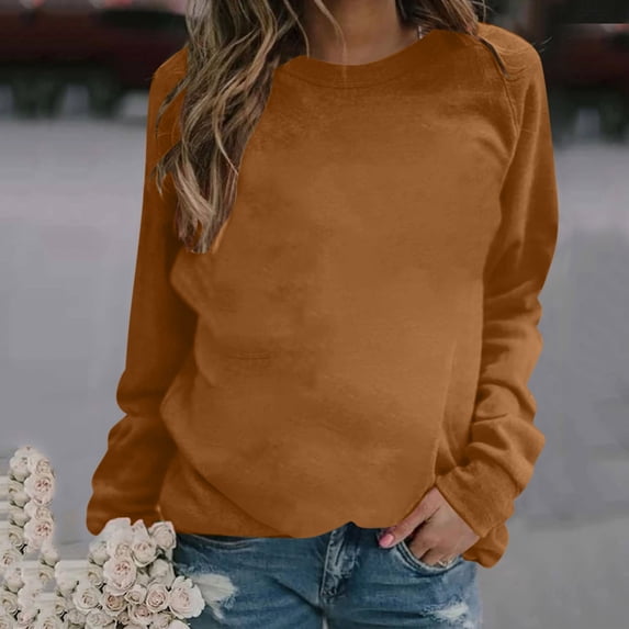 JGGSPWM Women's Solid Classic Crewneck Long Sleeve Casual Loose Pullover Fall Winter Sweatshirt Tops Brown S