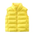 thumbnail image 1 of JGGSPWM Women's Winter Warm Padded Crop Vest Solid Color Lightweight Sleeveless Zipper Puffer Vest Outerwear Gilet Yellow S, 1 of 4