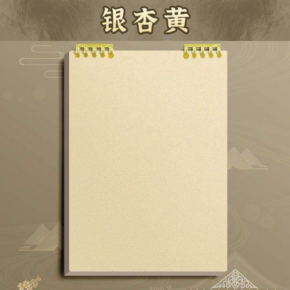 JGJJUGN Loose Leaf Notebook A5 Lined Pages Convenient for Notes Journaling Daily Writing Sketching Doodling Ideal for Work and Personal Use