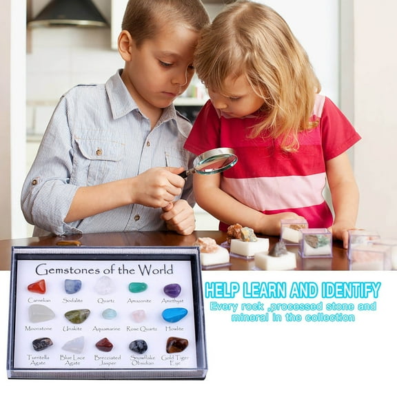 JHGoosa Irregular Early Of Gift 15 Natural Crystal Kinds Box Mixed Specimens Education Collection Home DIY